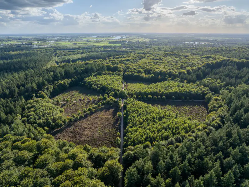 Het sterrenbos in het Amerongse Bos met de Nederrijn aan de horizon, vanuit de drone