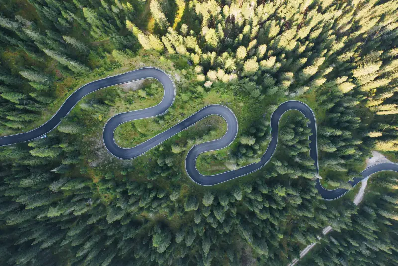 Slingerende weg door het bos, recht naar beneden als panorama: de bomen lopen naar elkaar toe