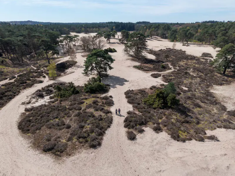 Twee mensen op een zandpad tussen heide en dennen in de Soesterduinen, vanuit de drone