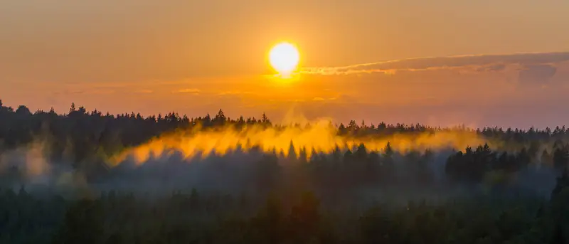 Zonsopkomst boven mist en bos bij Åsnen in Zweden: panorama met de 3x-lens van de Mavic 3 Pro