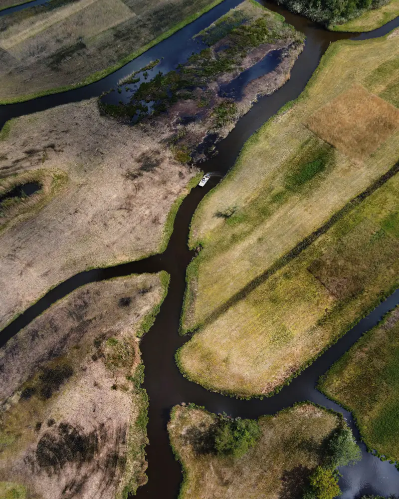 Slingerende sloten door een polderlandschap, vanuit de lucht