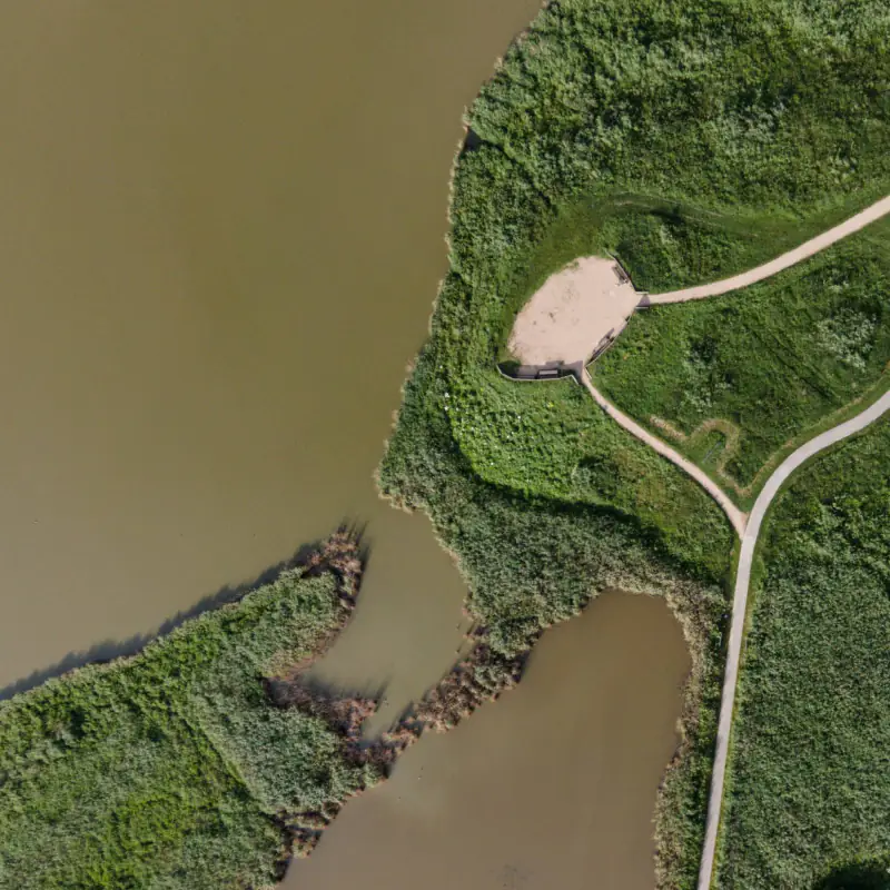 Water, riet en wandelpaden recht van boven, als een kaart