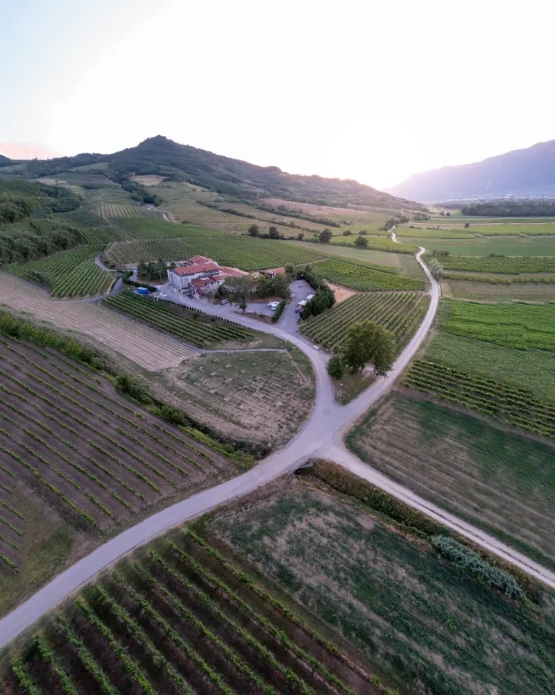 Wijngaarden en een slingerend pad in Slovenië: panorama van 9 foto's, bijgesneden tot 4:5
